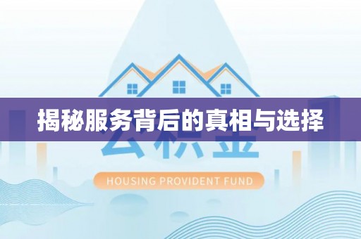 雨山揭秘服务背后的真相与选择